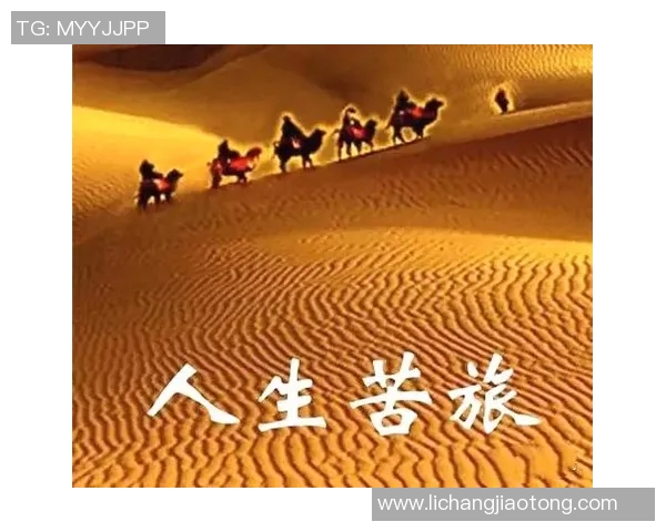 与李敏畅聊足球生涯的点滴与梦想，回顾辉煌与挑战的旅程