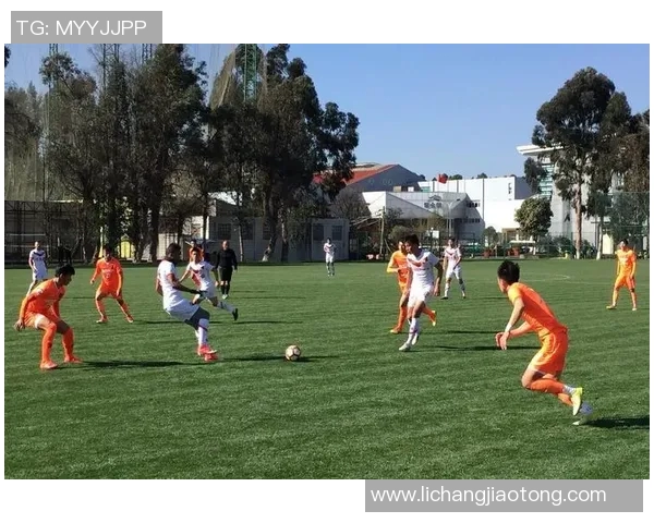 北京网球队在阵地战中的表现分析与战术调整探讨 北京网球队在阵地战中的表现分析与战术调整探讨