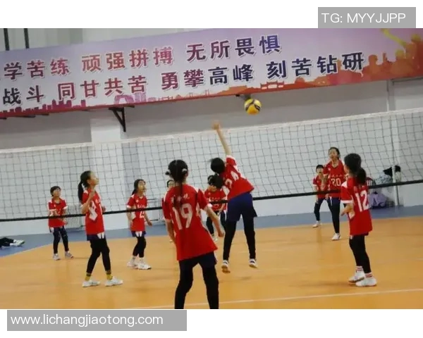 北京排球队耐力表现创新高引发关注排球耐力排名再攀新高峰 北京排球队耐力表现创新高引发关注排球耐力排名再攀新高峰