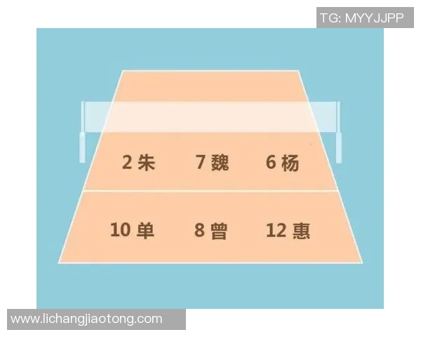 南京排球队整体压制战术解析与实战应用探讨 南京排球队整体压制战术解析与实战应用探讨