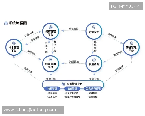 广州足球队整体压制革新之路:重塑战术体系与团队协作的深度分析 广州足球队整体压制革新之路:重塑战术体系与团队协作的深度分析