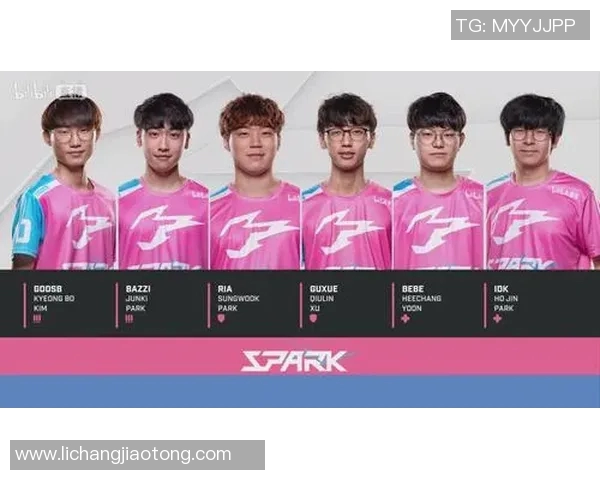 杭州网球队实力引发热议争论背后的训练与竞技真相 杭州网球队实力引发热议争论背后的训练与竞技真相