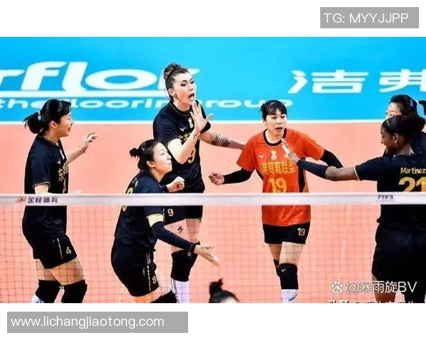 杭州排球队的整体压制策略与深度分析揭秘排球竞技的胜利之道 杭州排球队的整体压制策略与深度分析揭秘排球竞技的胜利之道