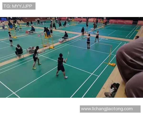 武汉羽毛球队状态分析与表现评估:数据背后的故事与启示 武汉羽毛球队状态分析与表现评估:数据背后的故事与启示