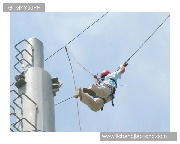 独家解析LNG团队协作模式的优势与挑战全面对比分析