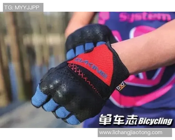 深圳极限运动队的灵活性分析与发展前景探讨