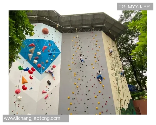 重庆攀岩队与上海攀岩队赛后状态分析与表现对比 重庆攀岩队与上海攀岩队赛后状态分析与表现对比