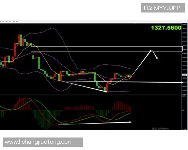 上海排球队防守策略分析及其对比赛结果的影响探讨 上海排球队防守策略分析及其对比赛结果的影响探讨