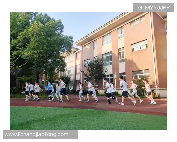 南京排球队的拼搏历程与荣耀时刻的特别报道 南京排球队的拼搏历程与荣耀时刻的特别报道