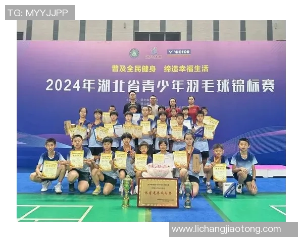 武汉羽毛球队个人能力分析与发展潜力探讨 武汉羽毛球队个人能力分析与发展潜力探讨