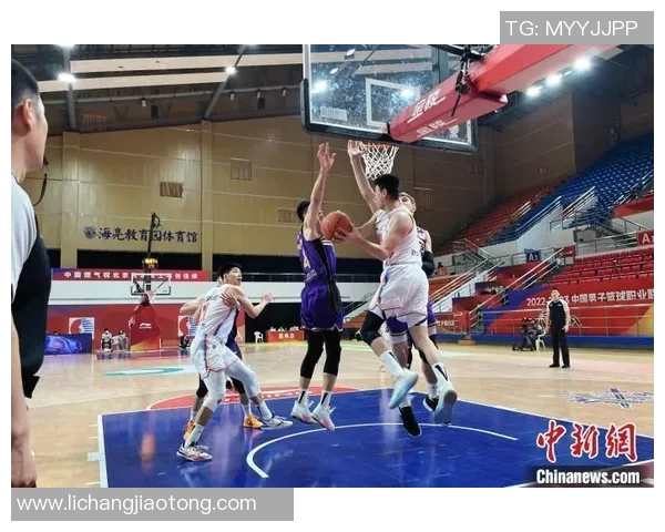 赛后分析：北京羽毛球队与杭州羽毛球队的战术意识与表现对比