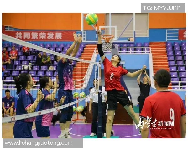 重庆排球队战术解析与发展探讨聚焦排球竞技新篇章