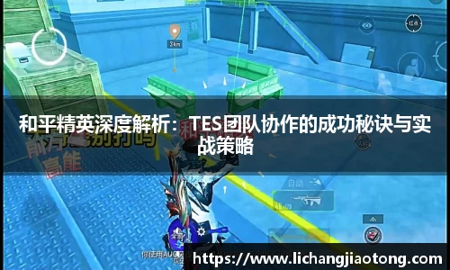 和平精英深度解析：TES团队协作的成功秘诀与实战策略